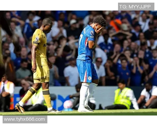 热刺与央视网的精彩对决分析与赛事回顾，球迷热情高涨的背后故事